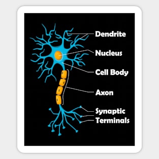 Neuron Neuroscience Neurology and Neurologist Sticker